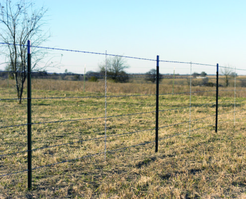 barbed_wire_photo_01